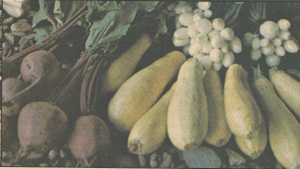 
It isn't necessary to use chemicals on your garden for successful farming.
